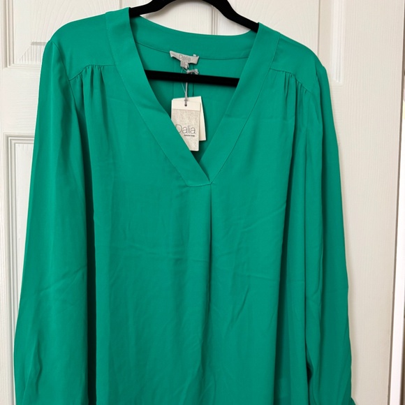 Dalia Blouse - Long sleeve size XL V-neck - Picture 1 of 3